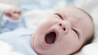 Bebekler Neden Çığlık Atar?
